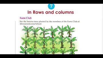 CHAPTER 7 IN ROWS AND COLUMNS  PART 2 ENGLISH MEDIUM @studentscorner9537
