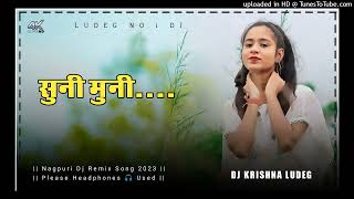 सुनी मुनी रीता जुली || New Nagpuri Dj Remix Song 2023 || Dj Krishna Jashpur ||