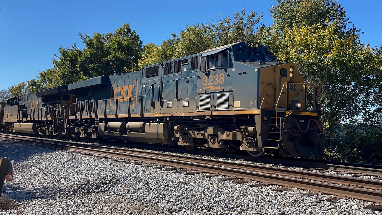 CSX mixed manifest with lots of fallen flag railroad cars at Menzler Rd