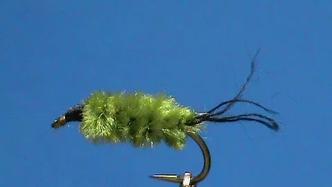 Fly Tying for Beginners an Olive Honey Bug with Jim Misiura