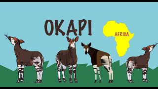 Meet the Okapi | Nursery Rhymes | Animals Song for Kids | Fun To Know Nursery Rhymes | NotesnLines