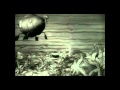 Zizz - Caxap (Subforms Rmx)