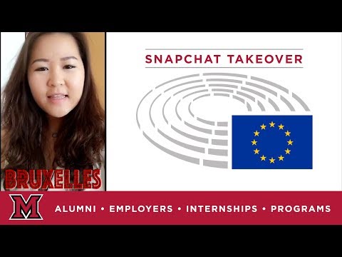 Linh's Office Internship for the European Parliament in Brussels, BE