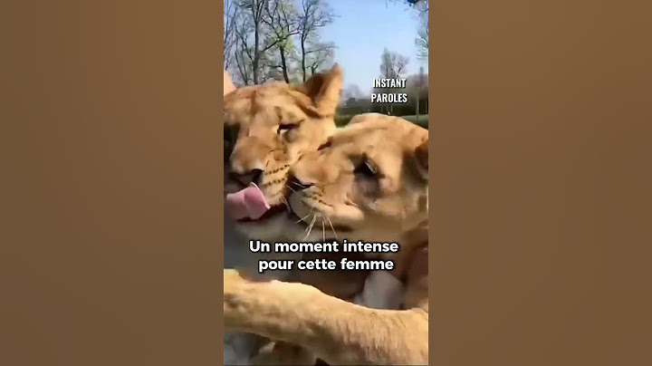 Les retrouvailles entre cette femme et ces deux lions vont vous surprendre 😳