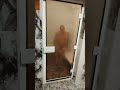 отдых в отеле Ромада Бич. Арабские Эмираты. Май2025 год😊😊😊