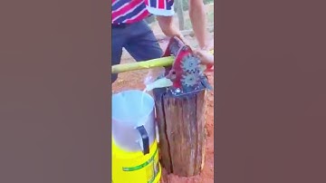 A Simple Smart Tool to Squeeze Sugarcane Traditionally #satisfying #shorts