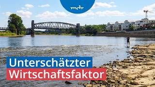Download Lagu Wie das Elbe-Niedrigwasser die Wirtschaft belastet | MDR SACHSEN-ANHALT HEUTE | MDR MP3 Download Lagu Wie das Elbe-Niedrigwasser die Wirtschaft belastet | MDR SACHSEN-ANHALT HEUTE | MDR MP3
