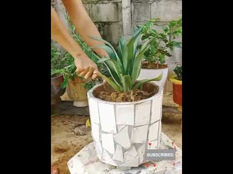 Amazing Creative ideas From Cement - DIY Simple Cement Plant Pots at Home #Shorts 9 @5MinuteCementCrafts88