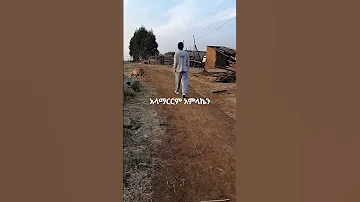 አላማርርም አምላኬን ዶንኪቲውብ ኢትዮጵያ አማራ ኦርቶዶክስ Ebstv Ebs ሰይፉ ሾው 