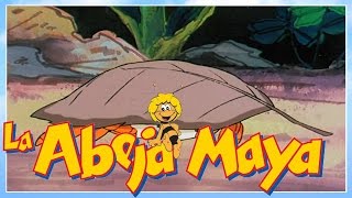 La abeja Maya  episodio 50  maya busca un nuevo hoger  capitulos completos en español latino