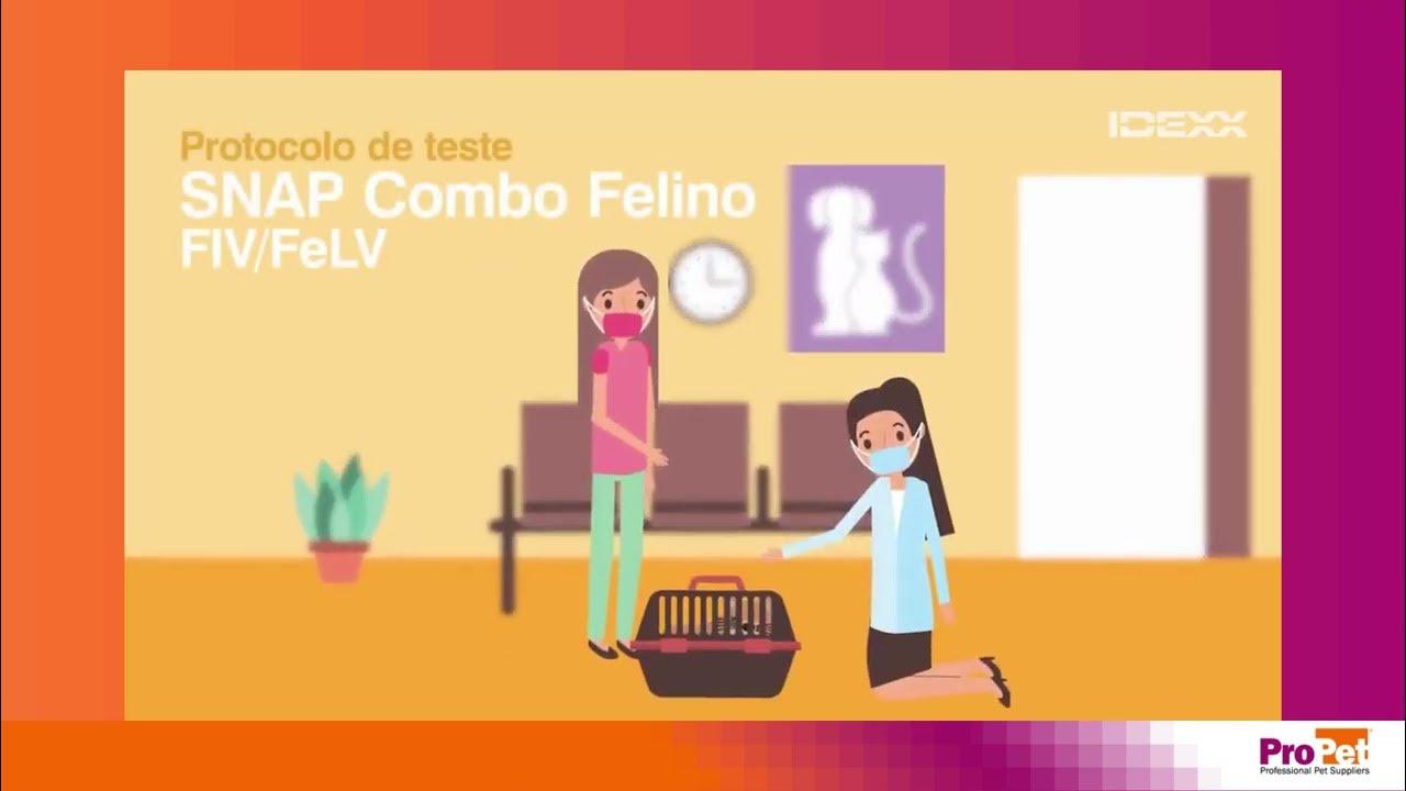 Protocolo de Teste IDEXX SNAP Combo Felino FIV FelV - Propet - YouTube