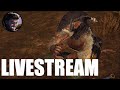 Clan Eshin Mortal Empires Livestream Part 3