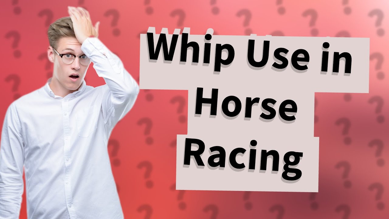 Does the whip hurt a racehorse? YouTube