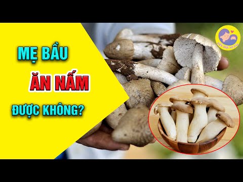 Video: Ăn Nấm Khi Mang Thai Có được Không?