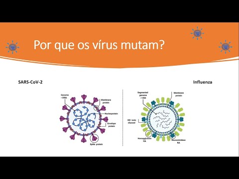 Vídeo: O rearranjo causa mudança antigênica?