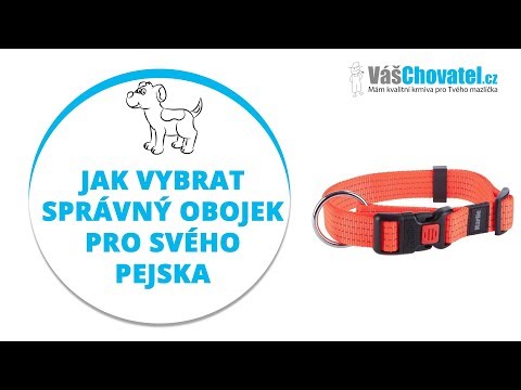 Video: Jak Si Vybrat Bleší Obojek Pro Vašeho Psa