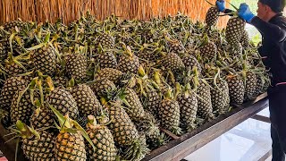 Amazing! Tropical Fruit Experience Center, Fruit Cutting Skills