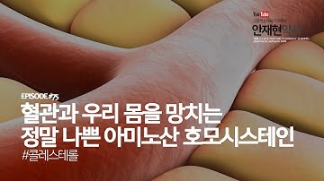 혈관과 우리 몸을 망치는 나쁜 아미노산 호모시스테인 #75 콜레스테롤이 혈관에 쌓이는 이유