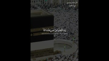 {الْحَجُّ أَشْهُرٌ مَّعْلُومَاتٌ ۚ } القارئ فيصل الهاجري