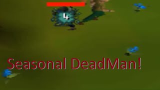 Seasonal Deadman Loot from 200 Zulrah!