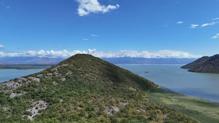 2d440157 57bd 4c88 96cb ec7bb5f8c5ac