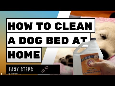 How To Clean A Dog Bed At Home – Easy Steps