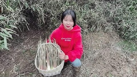 河边竹笋太多了，姑娘看到这么笋眼里放光，钻进林子拔得停不下来