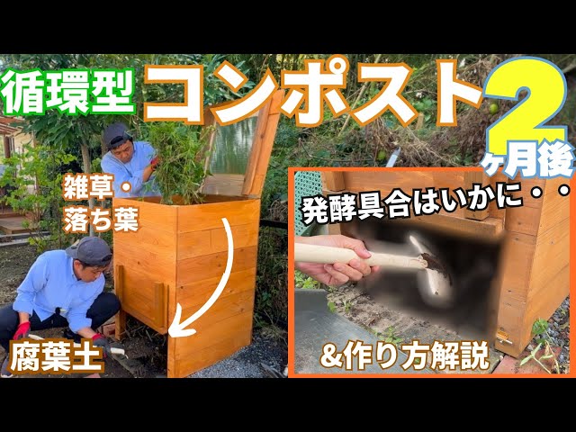 DIY Compost] 2-Month Check-up & Step-by-Step Guide - YouTube