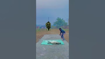 Vfx effects editing kine master magic video #vfx #viral #tiktok #foryoupag @TikTokpakistan