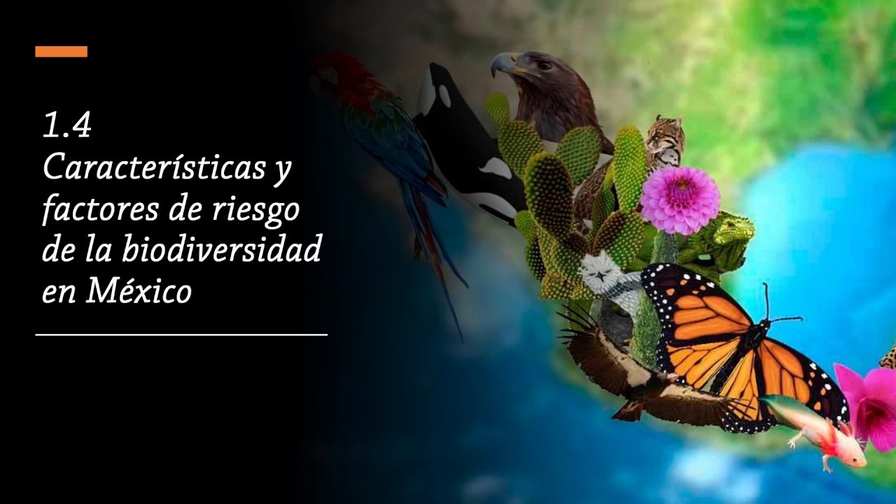 1.4 Caracteristicas y factores de riesgo de la biodiversidad en Mexico