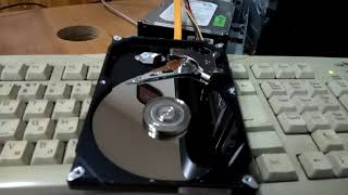 Жесткий диск (HDD). Работа вскрытого жесткого диска.