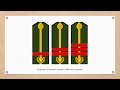 Знаки различия армии Киргизстана
