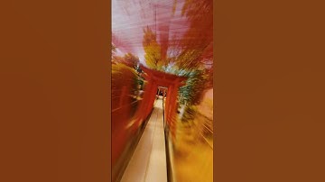 Guess we can add “control time” to GO 3’s list of talents ✅#Insta360 #shorts