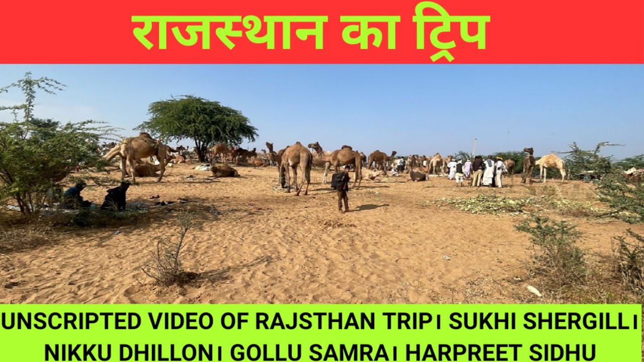 UNSCRIPTED VIDEO OF RAJSTHAN TRIP। SUKHI SHERGILL। NIKKU DHILLON। GOLLU SAMRA। HARPREET SIDHU