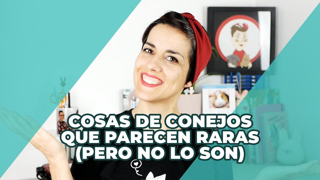 👉 Cosas de conejos que parecen raras (pero no lo son) 🐰