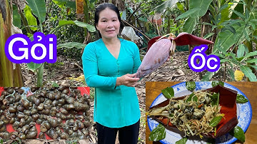 GỎI Ốc Đắng Bắp Chuối Non Món Ngon Quê Nhà