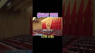 Chinese style democracy  ㄷㄷ #시진핑 #공산당 #사회주의 #유머짤 #정치유머