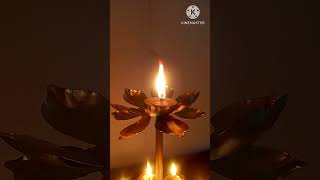 Best Mandir Decor Find From #meesho #amazon