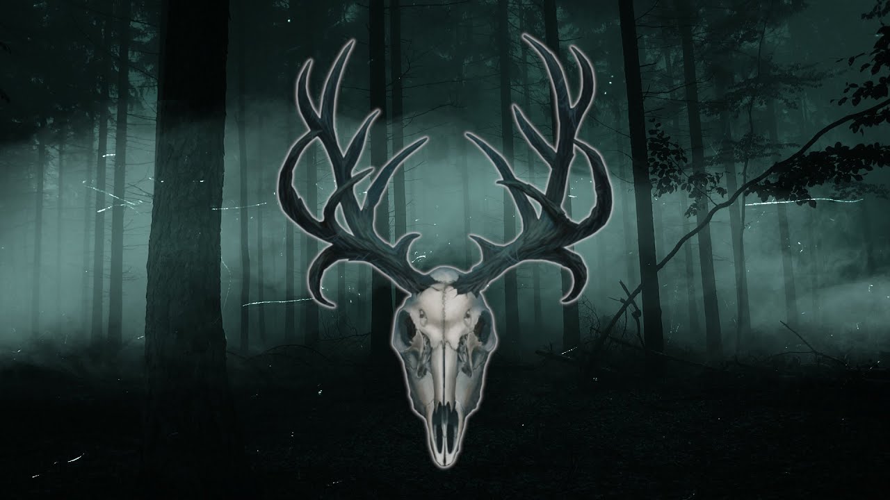 Guarda FREE | Valheim Type Beat - "Eikthyr" su YouTube Guarda FREE | Valheim Type Beat - "Eikthyr" su YouTube
