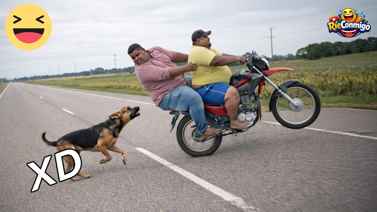 SI TE RÍES PIERDES NIVEL DIOS #7 😄 VIDEOS DE RISA MUY GRACIOSOS 2026 😄