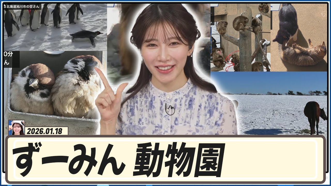 【魚住茉由】 ずーみん！ 動物園