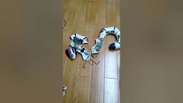 RoboBoa Repair part 2