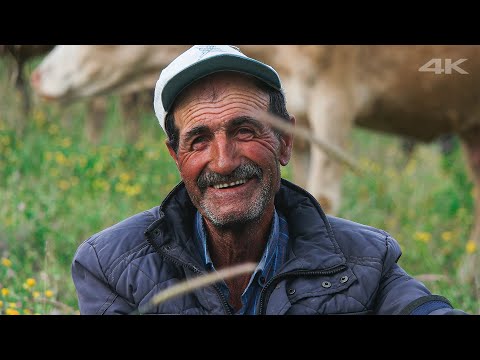 Yalnız Bir Hayat — 'Ayı görünce korkudan ayakları düzelen adam' | Belgesel ▫️4K▫️