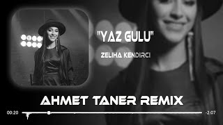 Zeliha Kendirci - Yaz Gülü ( Ahmet Taner Remix ) | Dans Etmez Mi Hallenmez Mi.