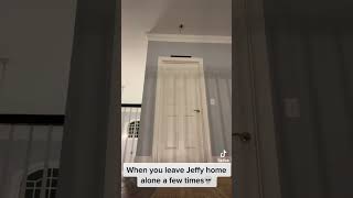 Jeffys Shocking Night