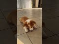 Eo biển Homuz vừa mở lại đóng?