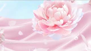 Quảng cáo Omo Matic Pure - Sạch vượt trội, thơm sang thanh nhã (10s, 4/2026)