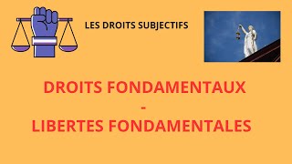 LES DROITS FONDAMENTAUX-LES LIBERTES FONDAMENTALES