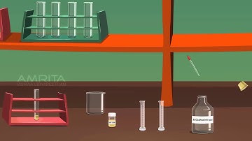 Detection of Albumin in Urine - MeitY OLabs