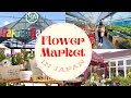 Flower Market in Japan